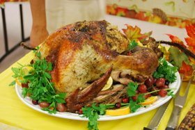 icf-thanksgiving-2016-0774.jpg